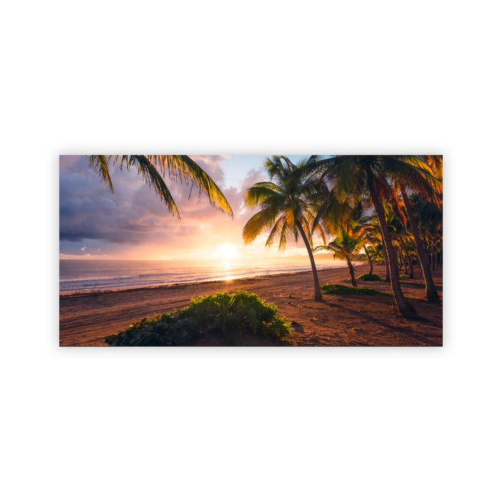"Paradise Awakening" Acrylic Wall Art