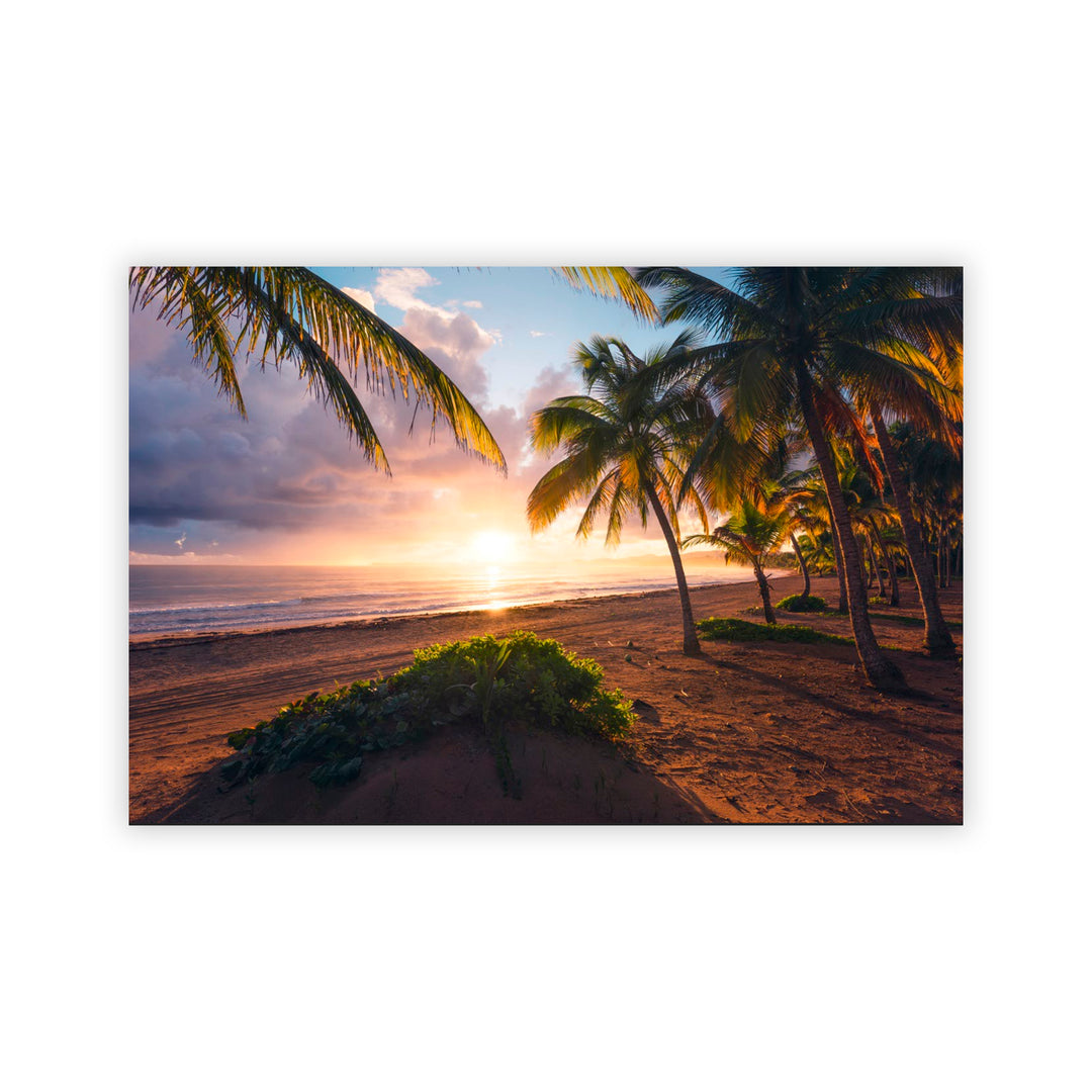 "Paradise Awakening" Acrylic Wall Art
