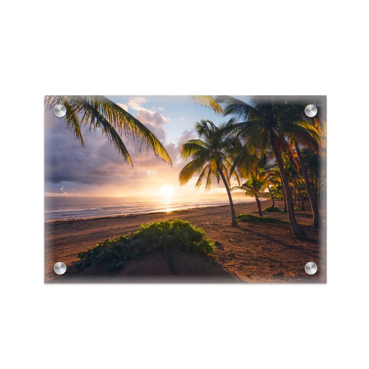 "Paradise Awakening" Acrylic Wall Art