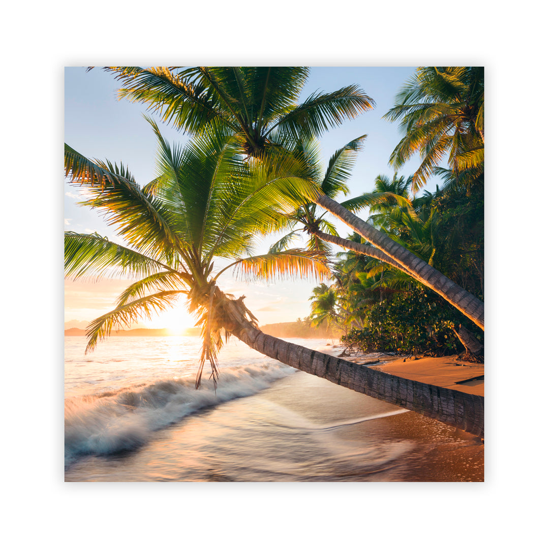 "Paradise Shore" Acrylic Wall Art
