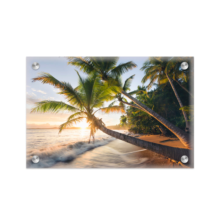 "Paradise Shore" Acrylic Wall Art