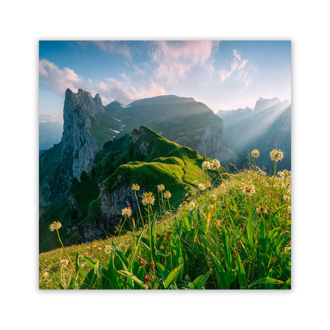 "High Summer" Acrylic Wall Art