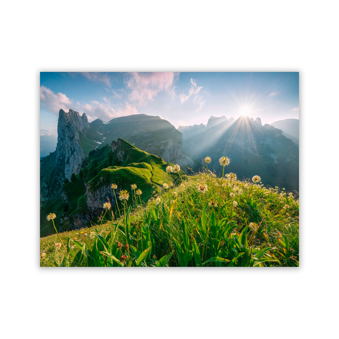"High Summer" Acrylic Wall Art