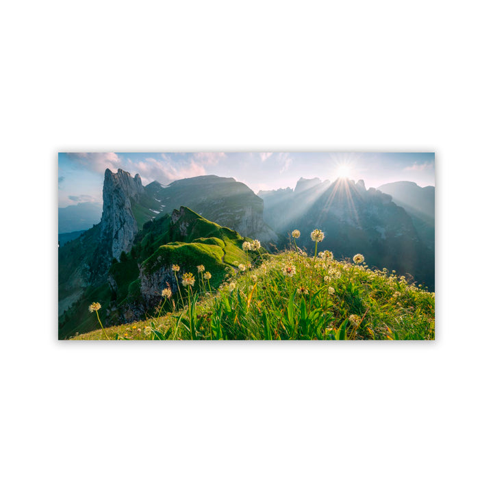 "High Summer" Acrylic Wall Art