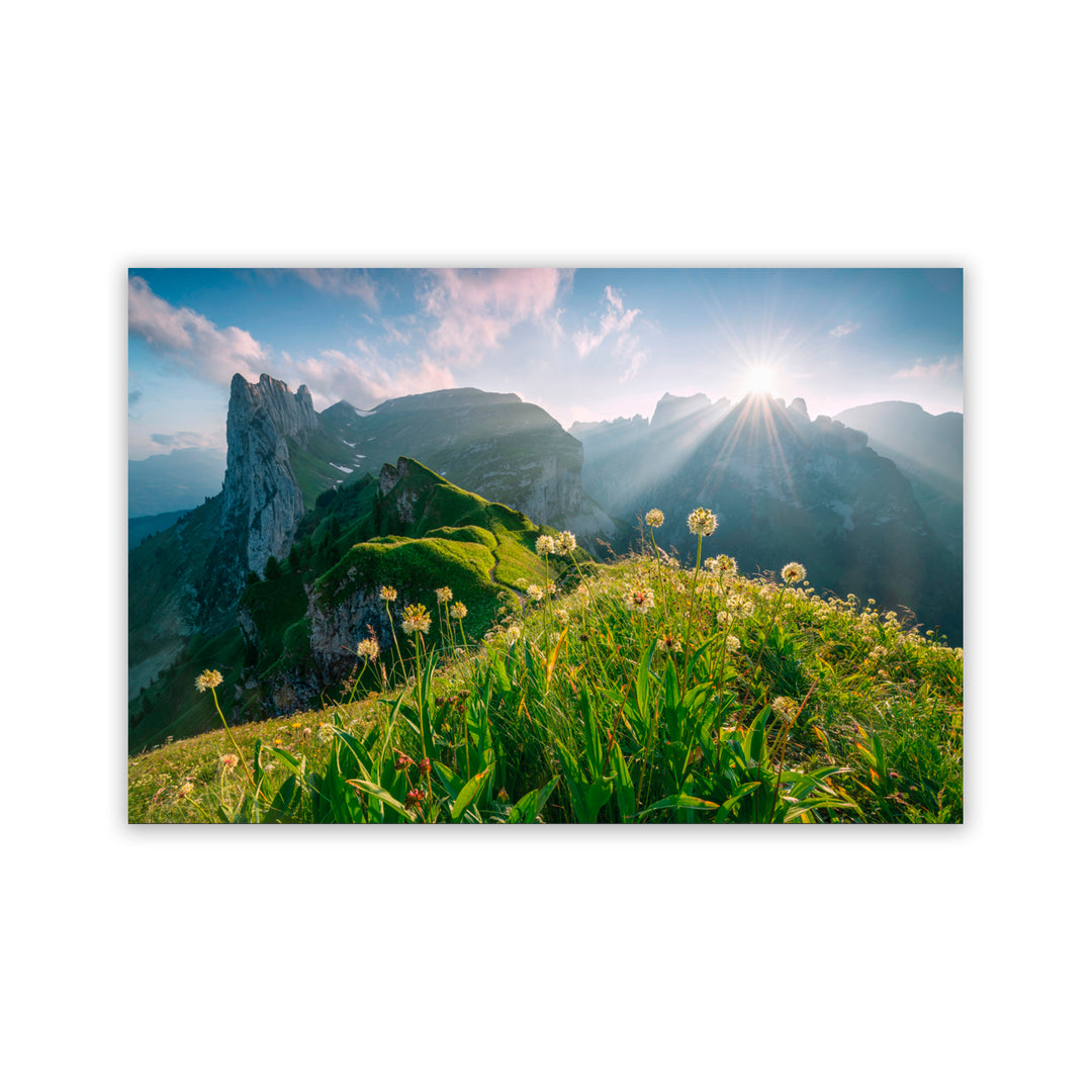 "High Summer" Acrylic Wall Art