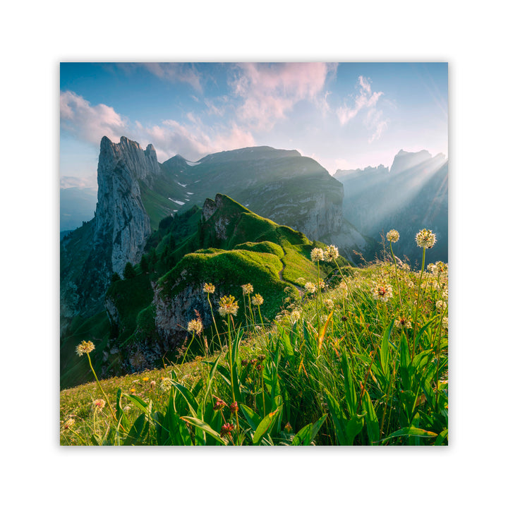 "High Summer" Acrylic Wall Art