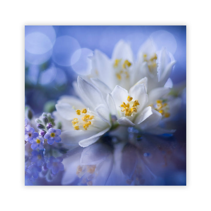 "Purple Spring" Acrylic Wall Art