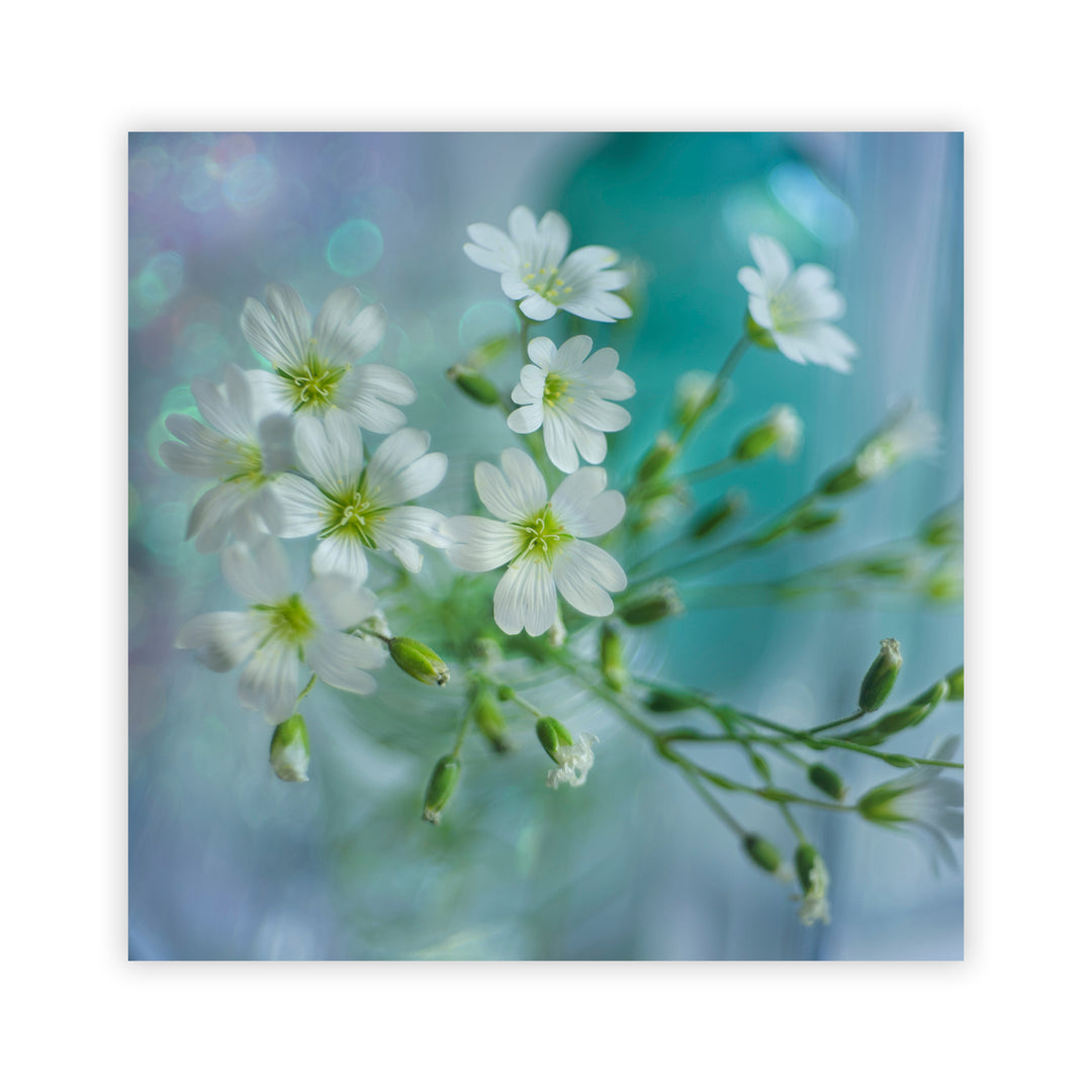 "White Spring" Acrylic Wall Art