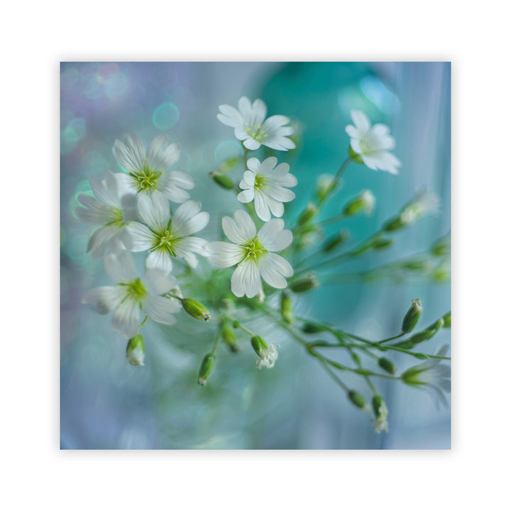 "White Spring" Acrylic Wall Art