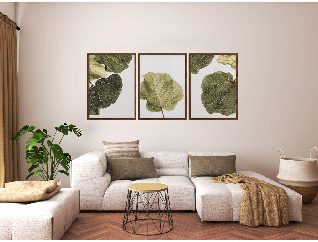 "Abutifolia Noe" Set of Three Framed Textured Wall Art