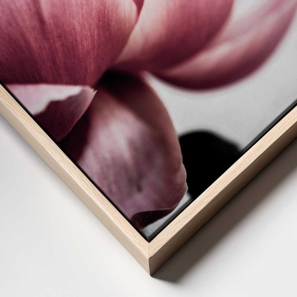 Peony 1