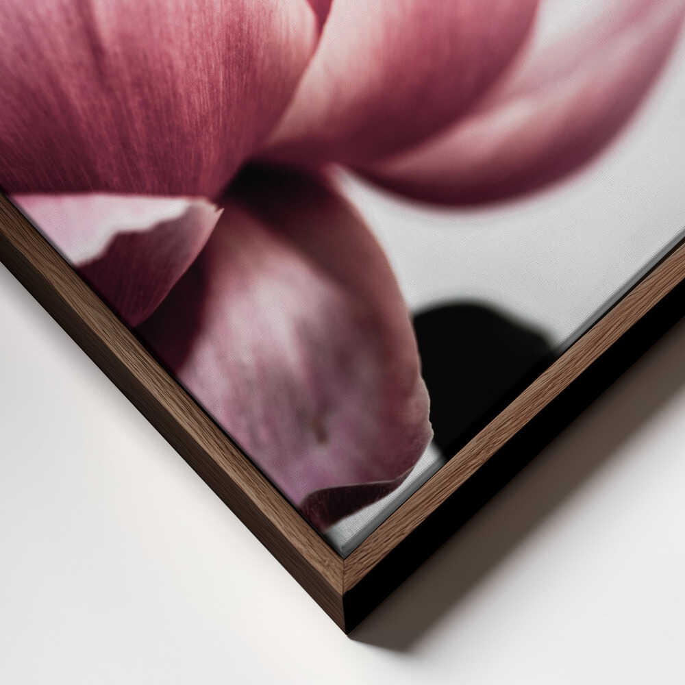 Peony 1