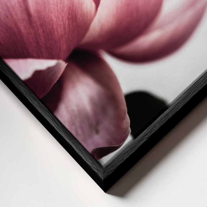 Peony 1