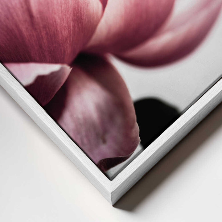 Peony 1