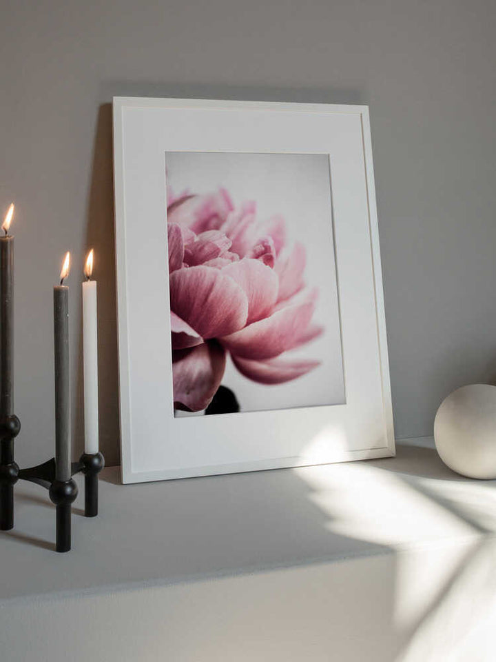 Peony 1