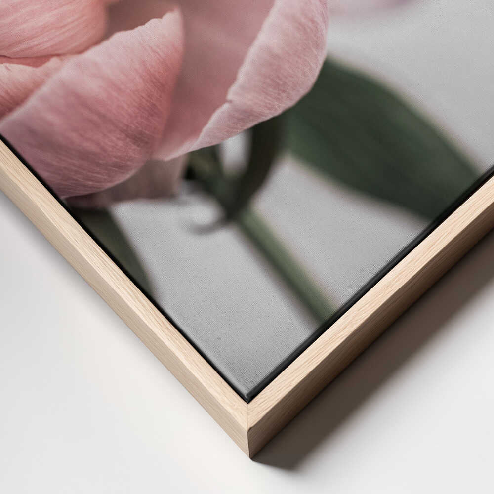Peony 3