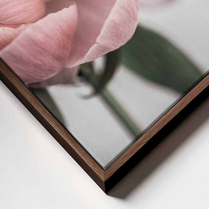 Peony 3