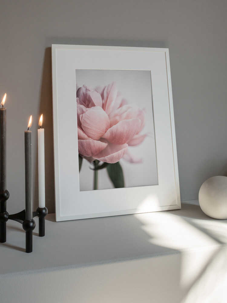 Peony 3