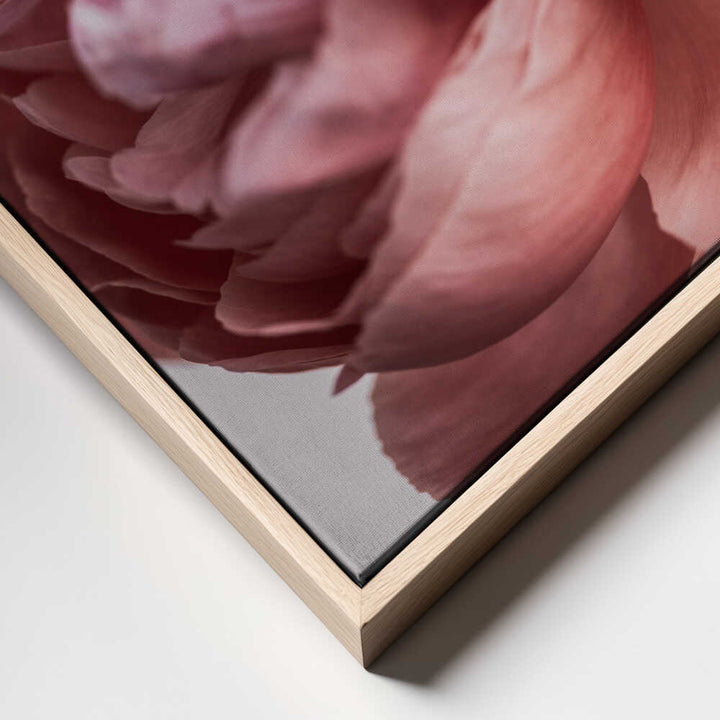 Peony