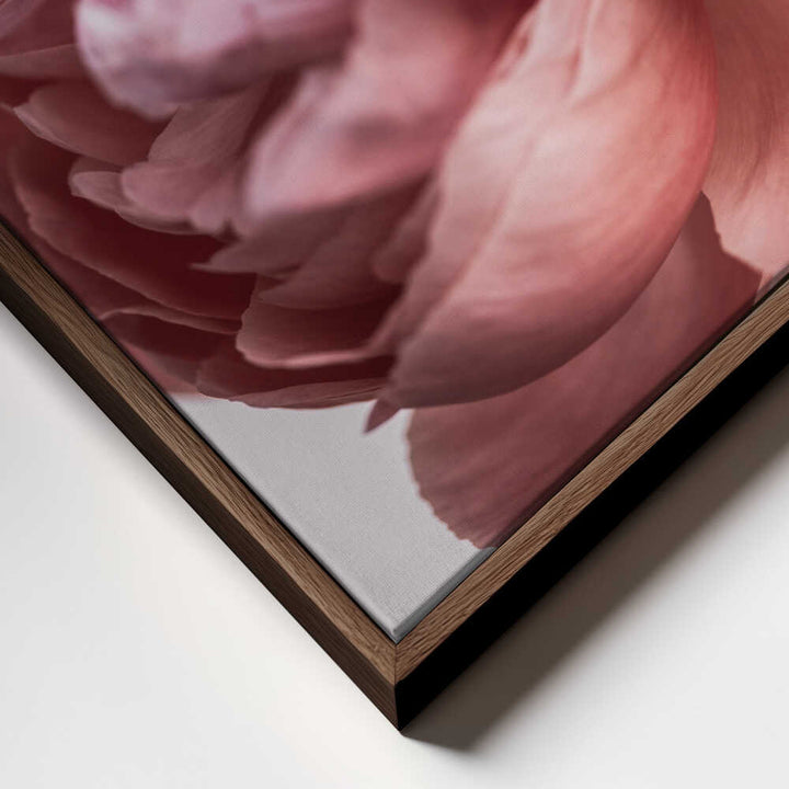 Peony