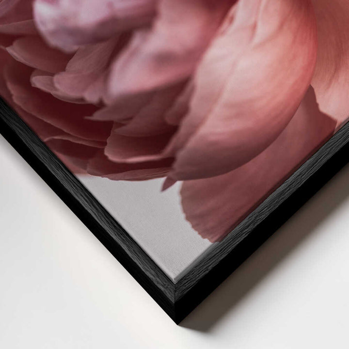 Peony