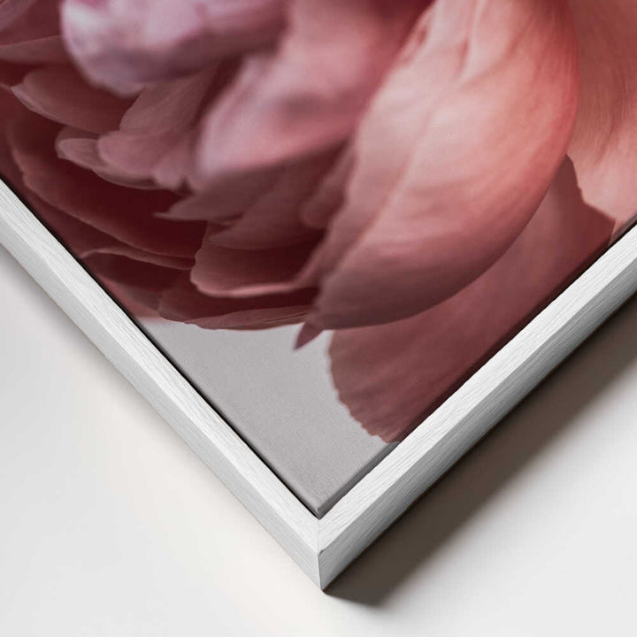 Peony