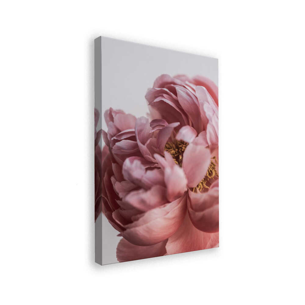 Peony