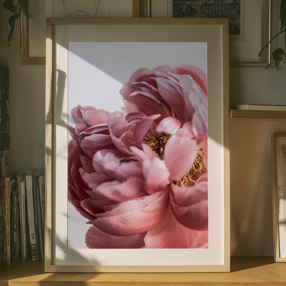 Peony