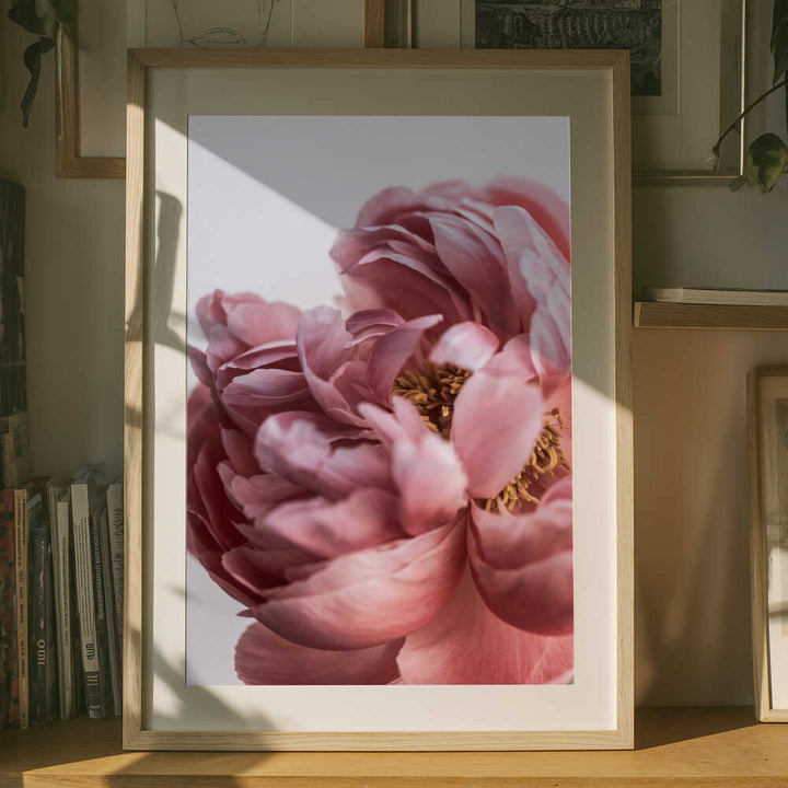 Peony