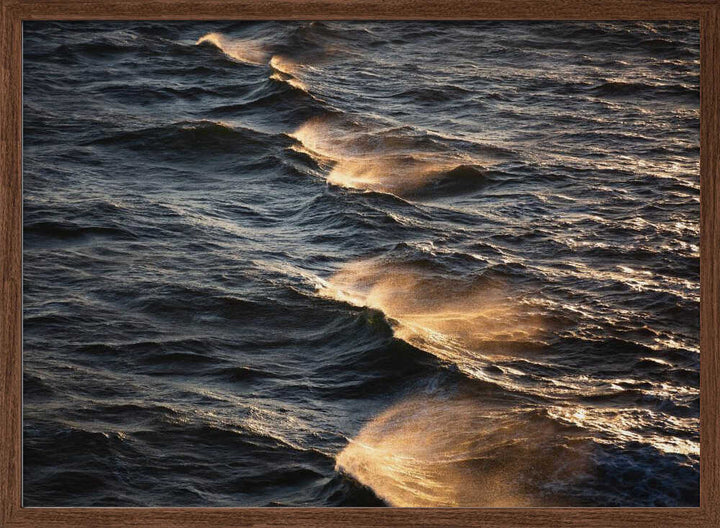 Sunkissed Waves