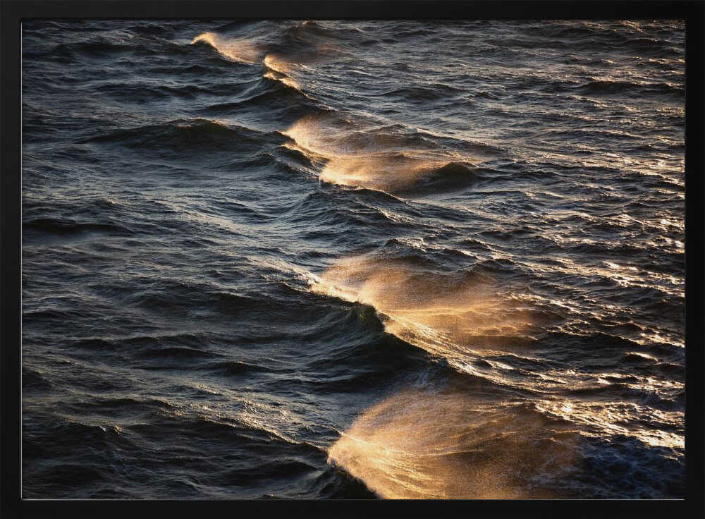 Sunkissed Waves