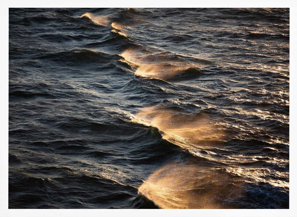 Sunkissed Waves