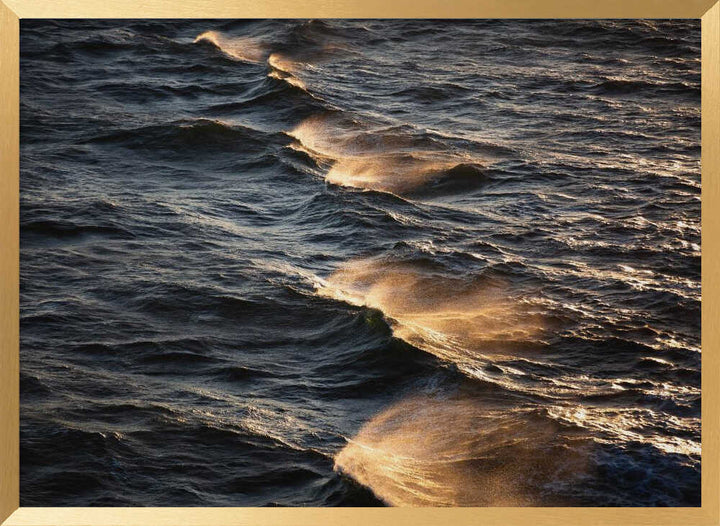 Sunkissed Waves
