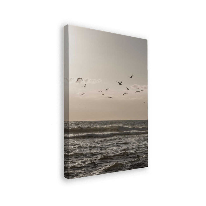 Birds and the Sea 3