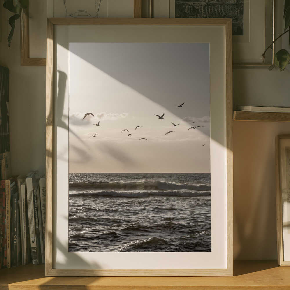 Birds and the Sea 3