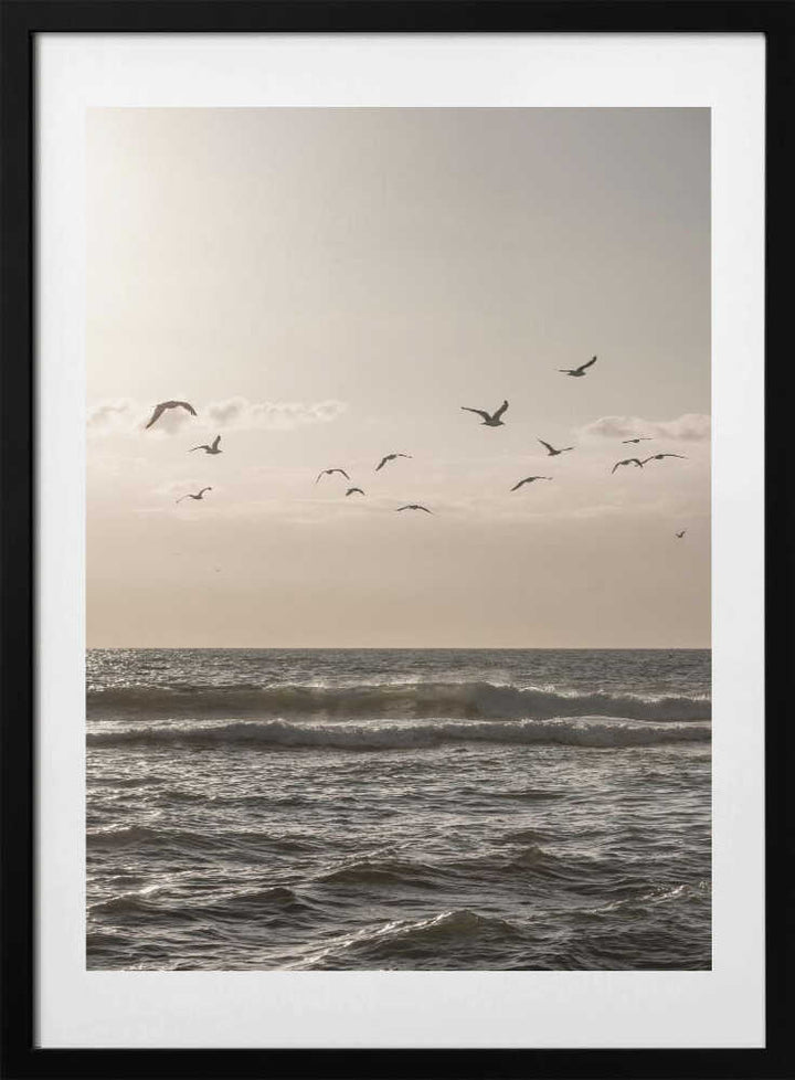 Birds and the Sea 3