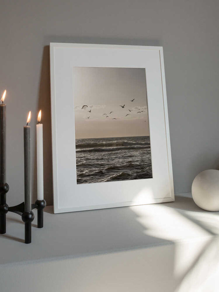 Birds and the Sea 3