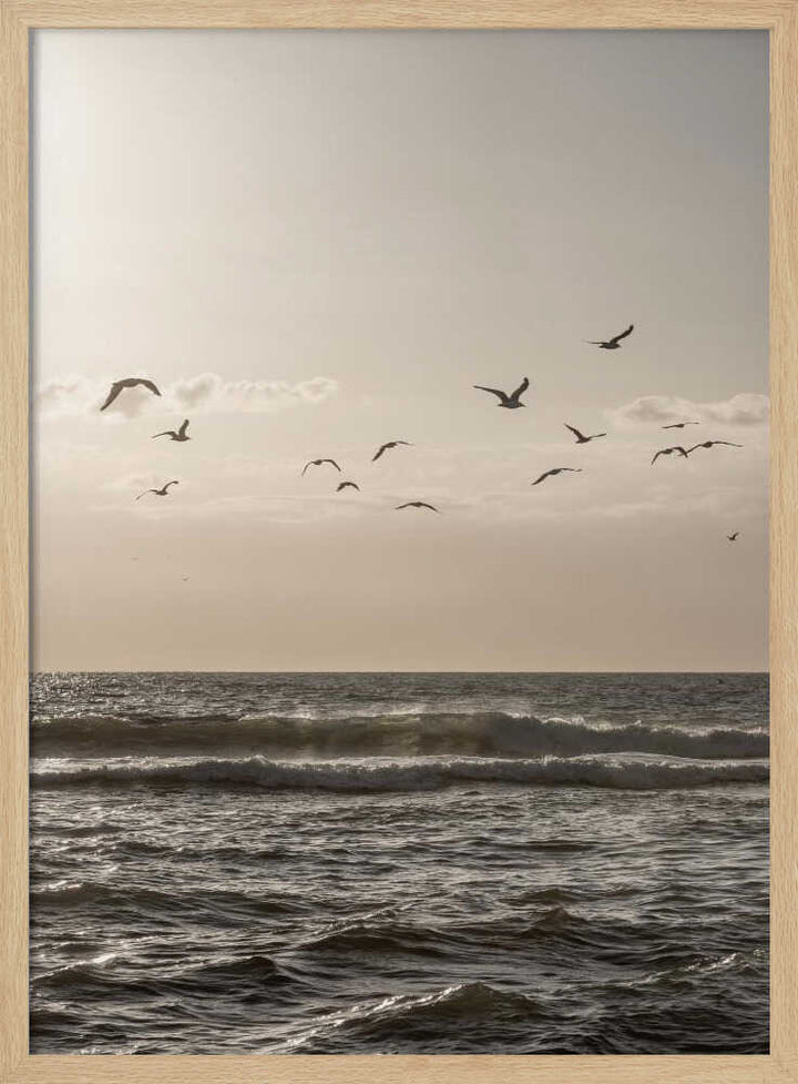 Birds and the Sea 3
