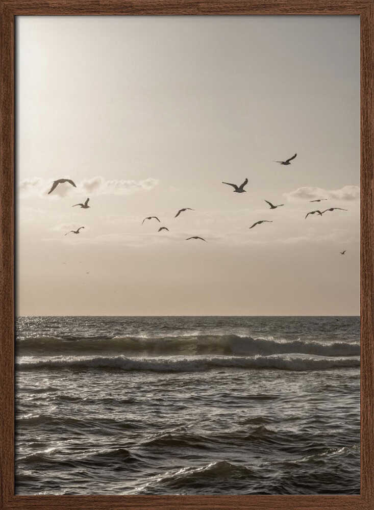 Birds and the Sea 3
