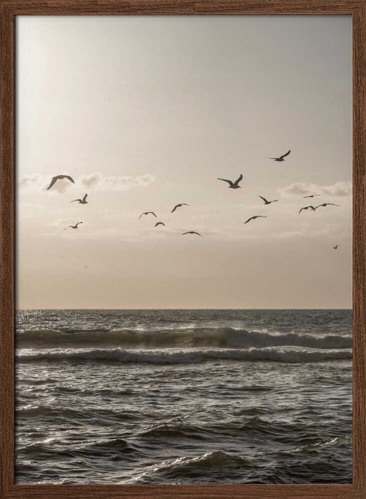 Birds and the Sea 3