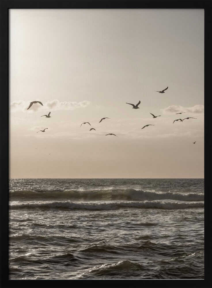 Birds and the Sea 3