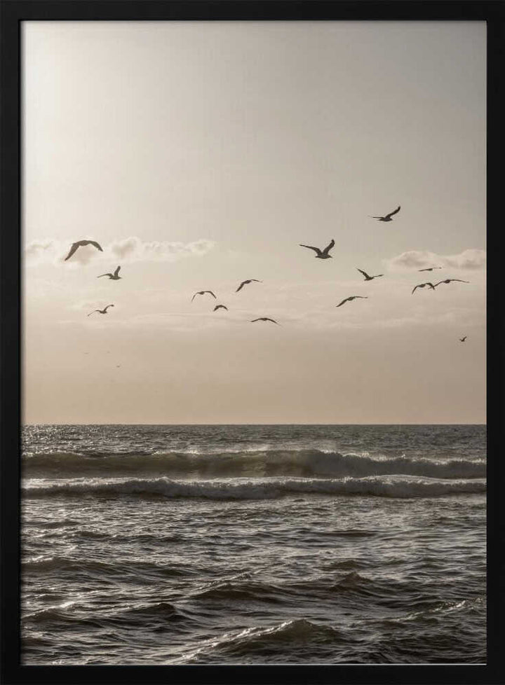 Birds and the Sea 3