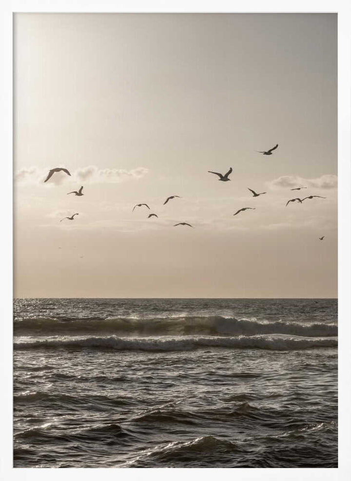 Birds and the Sea 3