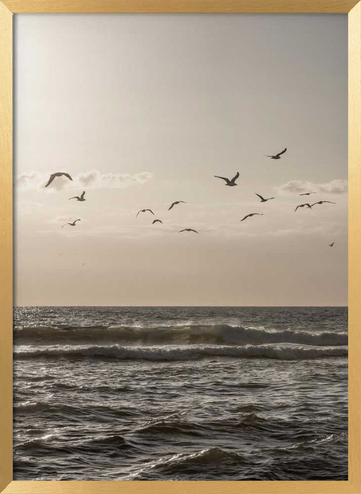 Birds and the Sea 3