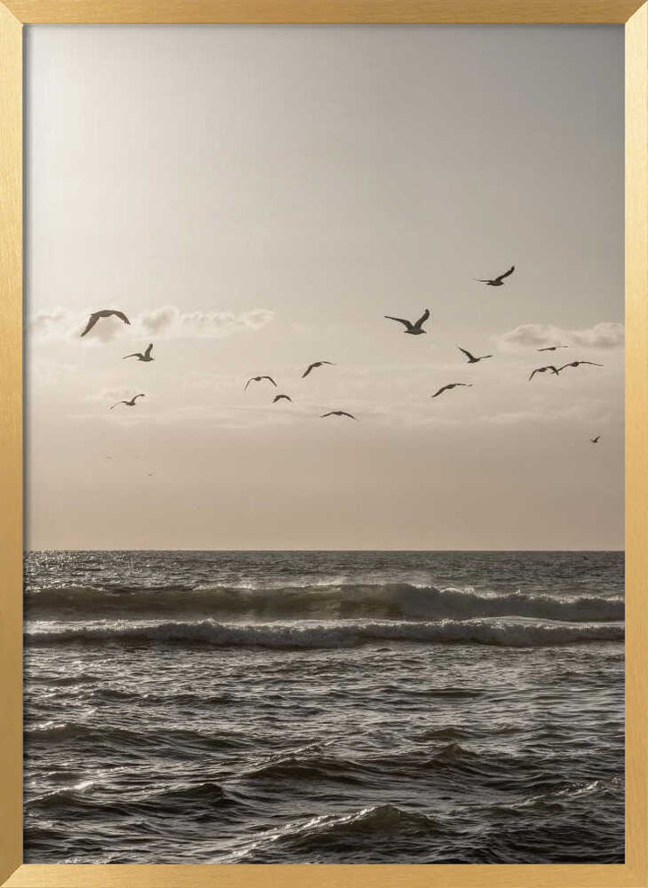 Birds and the Sea 3