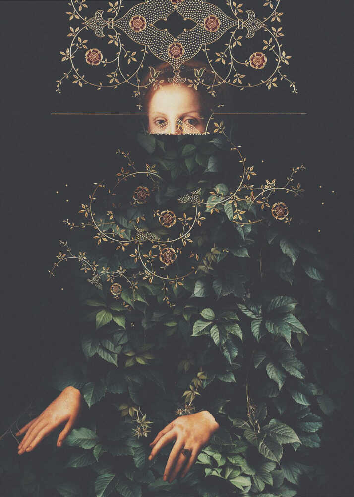 Patience II by Frank Moth