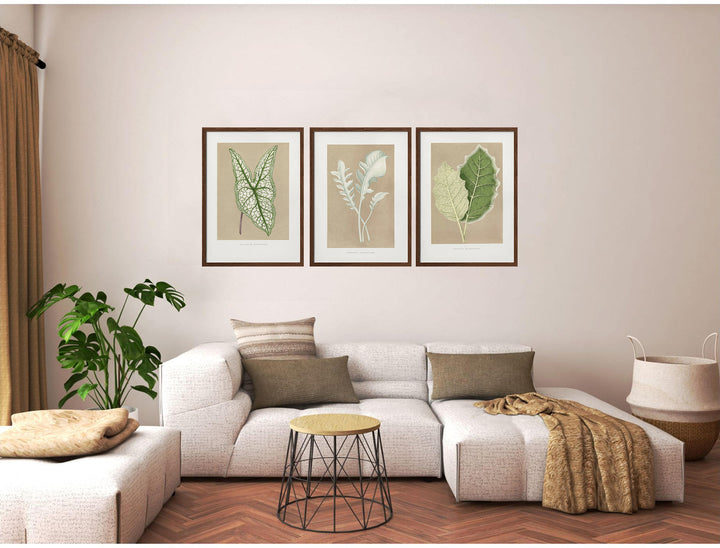 "Marginatum Leaf" Set of Three Framed Textured Wall Art