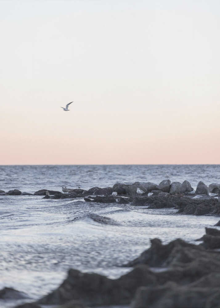 Coast Landscapes 5