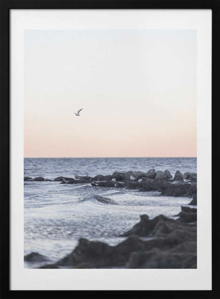 Coast Landscapes 5