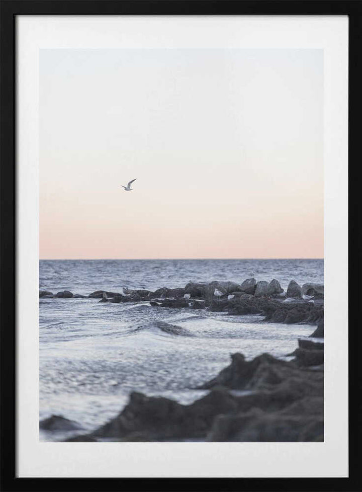 Coast Landscapes 5
